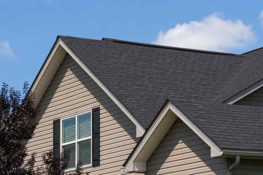 roof replacement boise